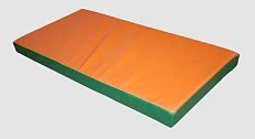 Мат для единоборств 2х1х0,05м  (плотность 100кг/м3, тент)